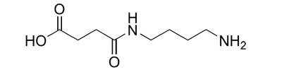 laboratorio heterobifuncional cristalino Ácido butanoico, 4-[(4-aminobutil)amino]-4-oxo-