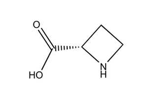 Ácido (R) azetidina 2 carboxílico