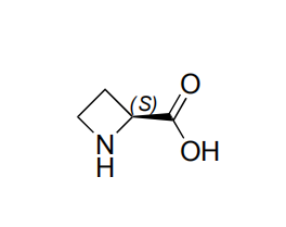 Ácido (S) - (-) - 2-azetidinacarboxílico