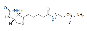 Biotina-PEG7-NH2