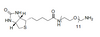 1H-tieno [3,4-d] imidazol-4-pentanamida, N- (35-amino-3,6,9,12,15,18,21,24,27,30,33-undecaoxapentatriacont-1-ilo ) hexahidro-2-oxo-