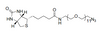 Partículas reversibles de bioconjugación Biotina-PEG11-CH2CH2N3